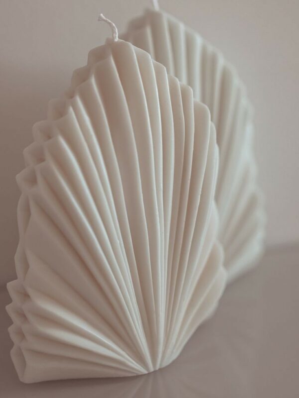 Feuille de palmier