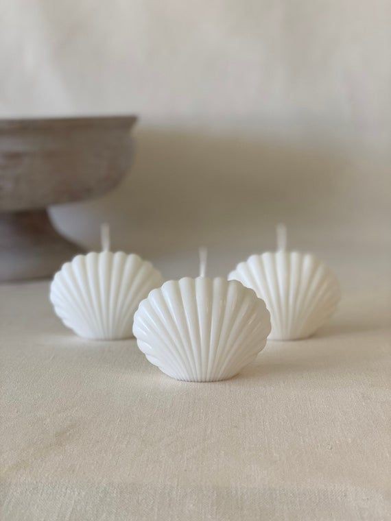 Coquillage Mini — Lot de 3