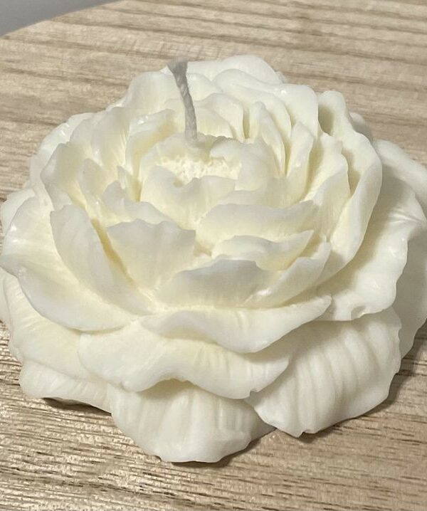 Fleur de pivoine